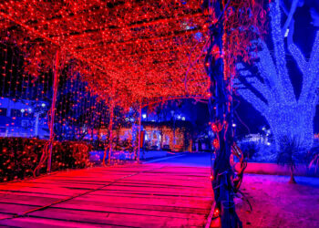 Decoração de Natal na praça central de Santa Bárbara surpreende moradores