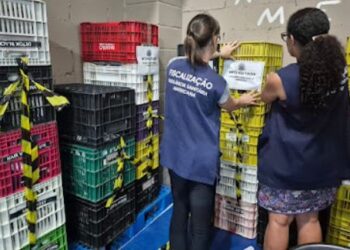 Desenvolve Santa Bárbara disponibiliza 1.434 vagas de emprego em diversos setores