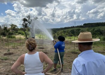 Projeto ambiental amplia recuperação de áreas verdes no entorno do Córrego Bertini, em Americana