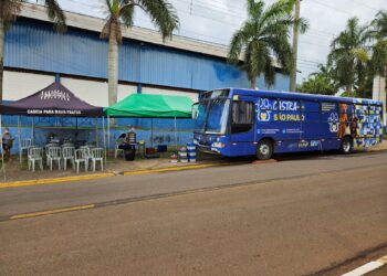 Americana recebe ação de castração gratuita para cães e gatos neste domingo no Centro Cívico