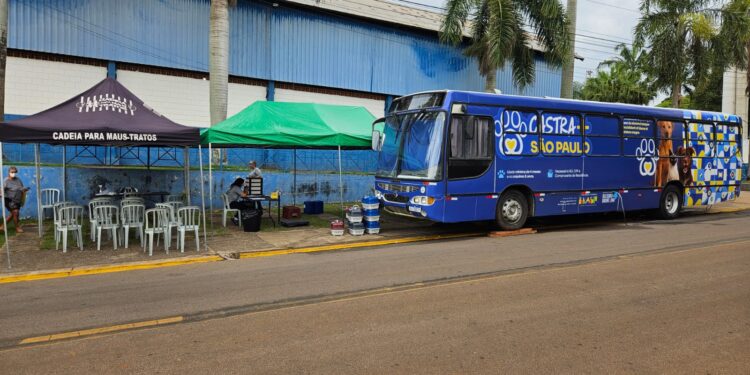 Americana recebe ação de castração gratuita para cães e gatos neste domingo no Centro Cívico