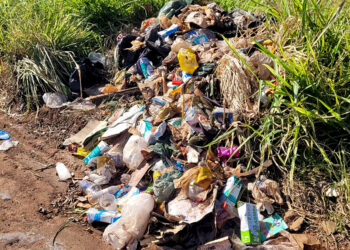 Homem é multado após ser identificado descartando lixo irregularmente em área próxima à SP-304