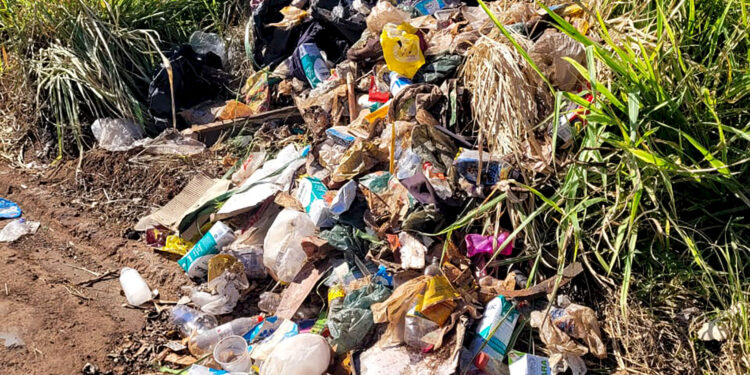 Homem é multado após ser identificado descartando lixo irregularmente em área próxima à SP-304