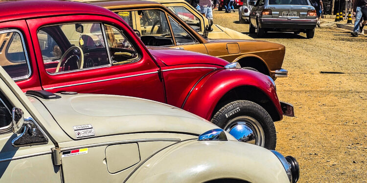 Dia Nacional do Fusca será celebrado com exposição e ação solidária em Santa Bárbara d’Oeste