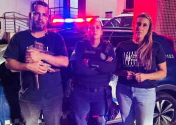 Suspeito é detido em Nova Odessa após ataque a filhote de cachorro
