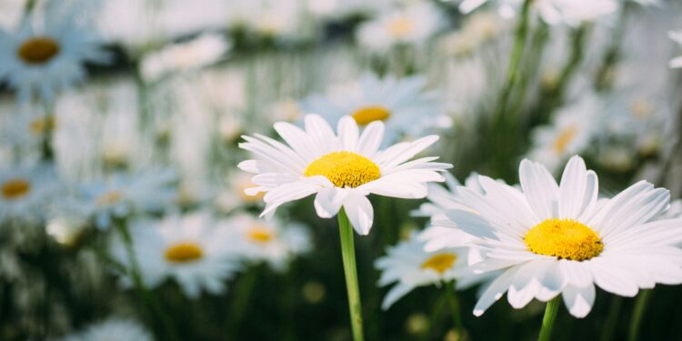 É necessário se revisitar de vez em quando