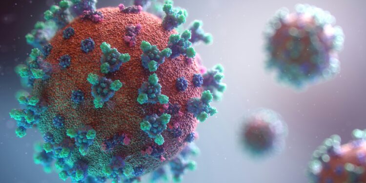Vírus Nipah: Autoridades de saúde o monitoram após novos registros na Índia; risco ao Brasil é considerado baixo