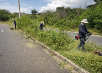 Sem manutenção há mais de um ano, moradores fazem mutirão para limpar mato em bairro de Santa Bárbara