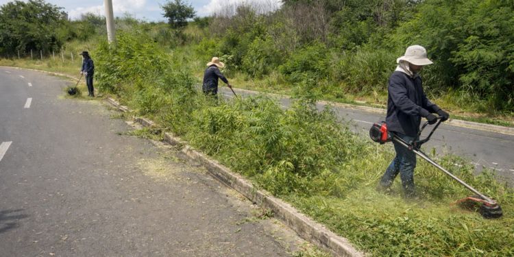 Sem manutenção há mais de um ano, moradores fazem mutirão para limpar mato em bairro de Santa Bárbara
