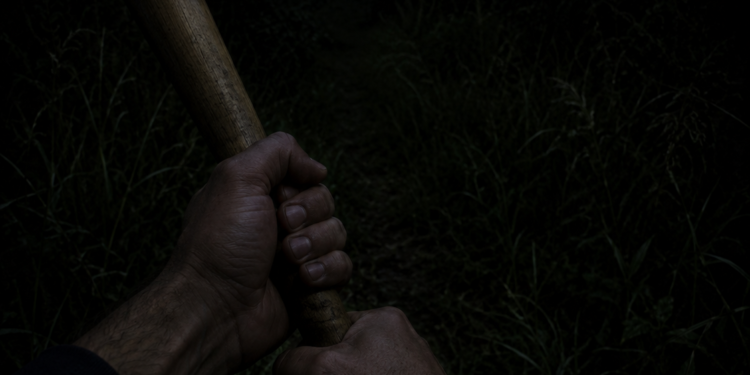 Jovem é atraído por conhecido, levado para canavial e torturado por grupo em Santa Bárbara d’Oeste