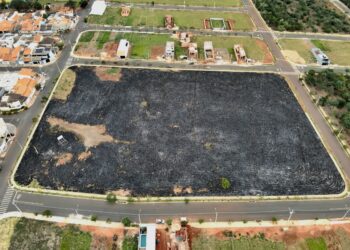 Homem flagrado por câmeras ao provocar incêndio em área verde é identificado e pode receber multa de mais de R$ 20 mil