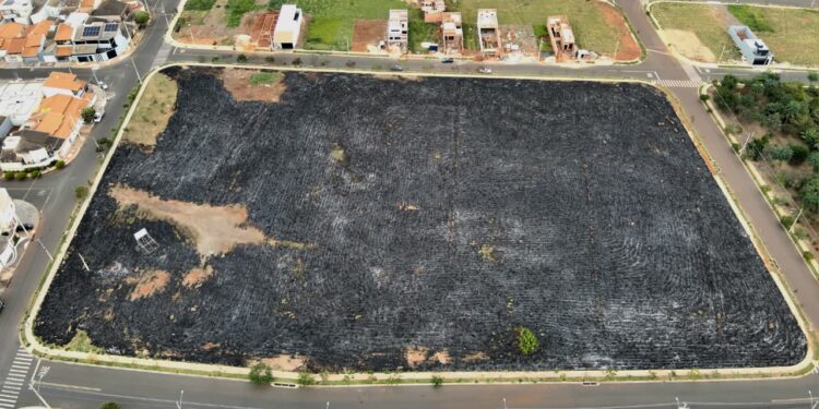 Homem flagrado por câmeras ao provocar incêndio em área verde é identificado e pode receber multa de mais de R$ 20 mil