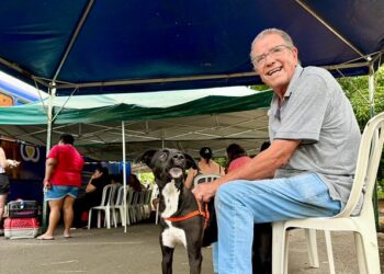 Americana terá mutirão com 600 castrações gratuitas de cães e gatos nos dias 20 e 21 de julho
