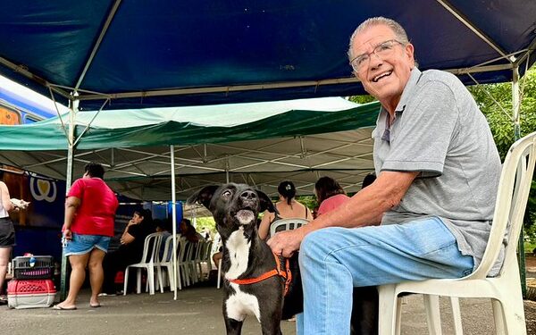 Americana terá mutirão com 600 castrações gratuitas de cães e gatos nos dias 20 e 21 de julho