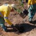 Refloresta Americana ultrapassa 2 mil mudas plantadas e avança na recuperação ambiental do Córrego Bertini