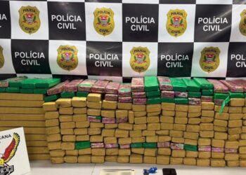 DISE apreende 270 tijolos de maconha avaliados em R$ 350 mil durante operação na SP-101