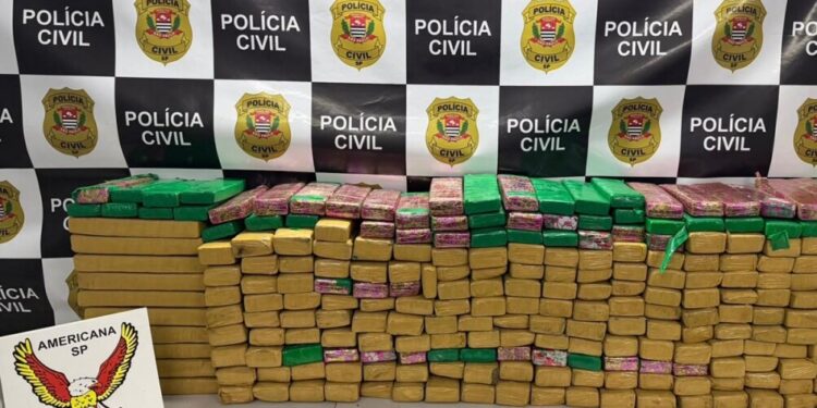 DISE apreende 270 tijolos de maconha avaliados em R$ 350 mil durante operação na SP-101