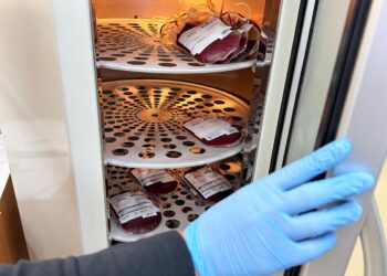 Banco de Sangue do Hospital Municipal faz apelo por doações diante de estoque crítico
