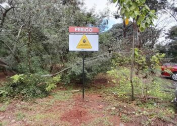 Americana confirma primeira morte por febre maculosa em 2026; local de infecção está sob investigação