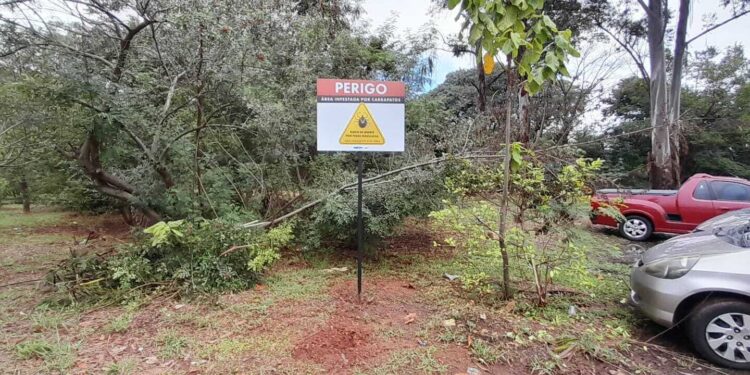 Americana confirma primeira morte por febre maculosa em 2026; local de infecção está sob investigação