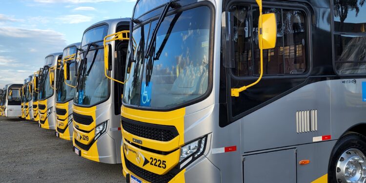 Americana terá ônibus gratuitos nos dias de votação das eleições de 2026