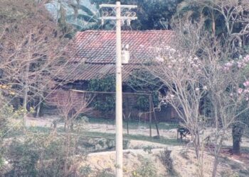 Suspeitos de quádruplo homicídio no Paraná são presos em Santa Bárbara e Rio das Pedras