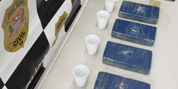 DISE apreende 6,2 kg de cocaína avaliados em R$ 120 mil em Americana; mulher é presa e irmã está foragida